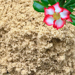 GARDENWISE sable pour plantes, grains fins, améliore l'aération des mélanges.