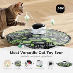Gardner Pet Chat: plume embuscade pour jeu interactif.