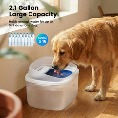 Gardner Pet fontaine avec flux vortex attire les chiens à boire plus