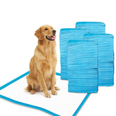 Gardner Pet Petfamily tapis d'apprentissage 24x24, idéal pour l'entraînement des chiots.