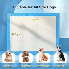 Gardner Pet tapis anti-fuite avec bordures, XL 28x34, protège sols.