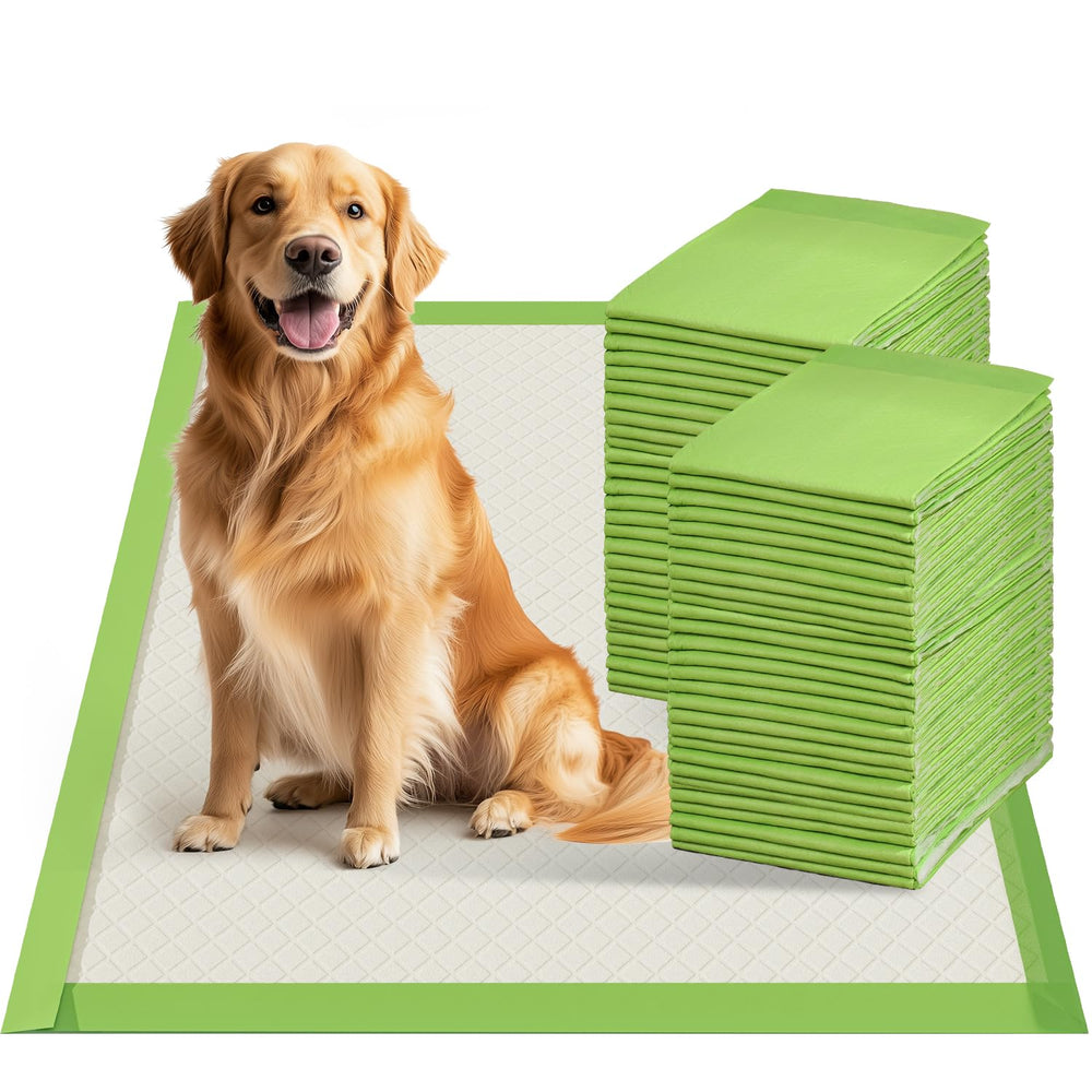 Gardner Pet tapis-pipi-chien-xl-28x34: grande surface et absorption efficace