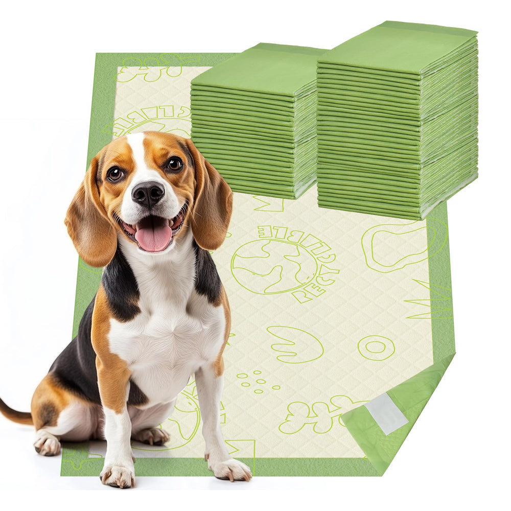 Gardner Pet Tapis toilettage avec adhésif : fixation stable et sans résidu.