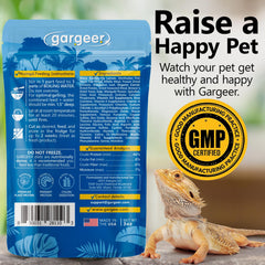 Gargeer dragon barbu: préparation à l’eau bouillante pour nourriture humide.