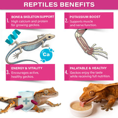 Gargeer Picky Geck Growth texture humide qui facilite l'ingestion