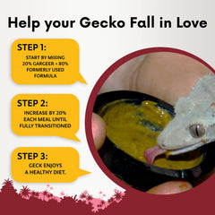 Gargeer superfood gecko, poudre prête à l’emploi sans additifs.