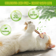 GBSYU jouets grignement Silvervine, divertissement et détente pour chats.