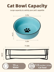 GDCZ Ceramics bol double 15 onces – nourrit et hydrate votre chat séparément.