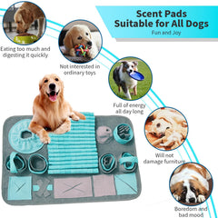 GDDGXXF Snuffle Mat ralentisseur d’alimentation, aide à manger lentement et à rester attentif.