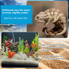 GDMYST assortiment Mopani bois flotté, matériau durable pour aquariums et terrariums.