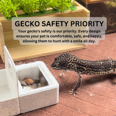Geckopia bol triple marbre bioplastique, démonstration du matériau durable pour les repas.
