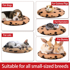 Gelbesty: système sans fil sûr pour animaux de compagnie