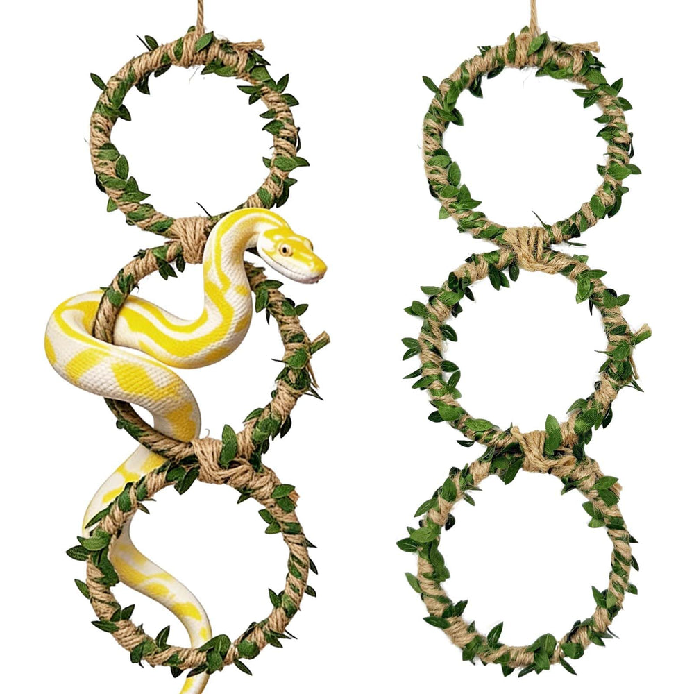 Generic anneaux-escalade-serpent-lot-1 favorisent l'exercice et l'enrichissement du reptile.