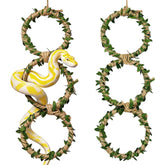 Generic anneaux-escalade-serpent-lot-1 favorisent l'exercice et l'enrichissement du reptile.