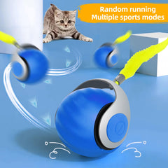 Generic balle-jouet chat modes sport, idéal sur tapis pour plus de mouvement.
