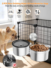 Générique bol chien en acier inoxydable, durable et hygiénique