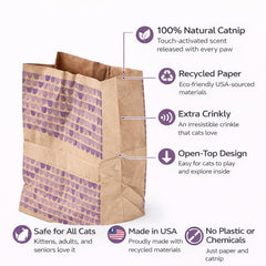 Generic chaton explorant un sac en papier brun et ouvert