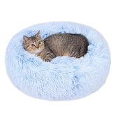 Generic coussin-chat-donut bleu cornflower, repos confortable et sûr.