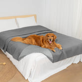 Generic Couverture chien imperméable sur canapé protège les meubles.