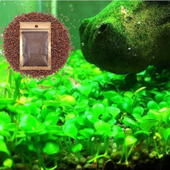 Generic décor aquarium eau douce grande feuille pour tapis verdoyant et croissance rapide.