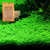 Generic Lucky Grass, emballage du kit prêt à démarrer l’aquarium.