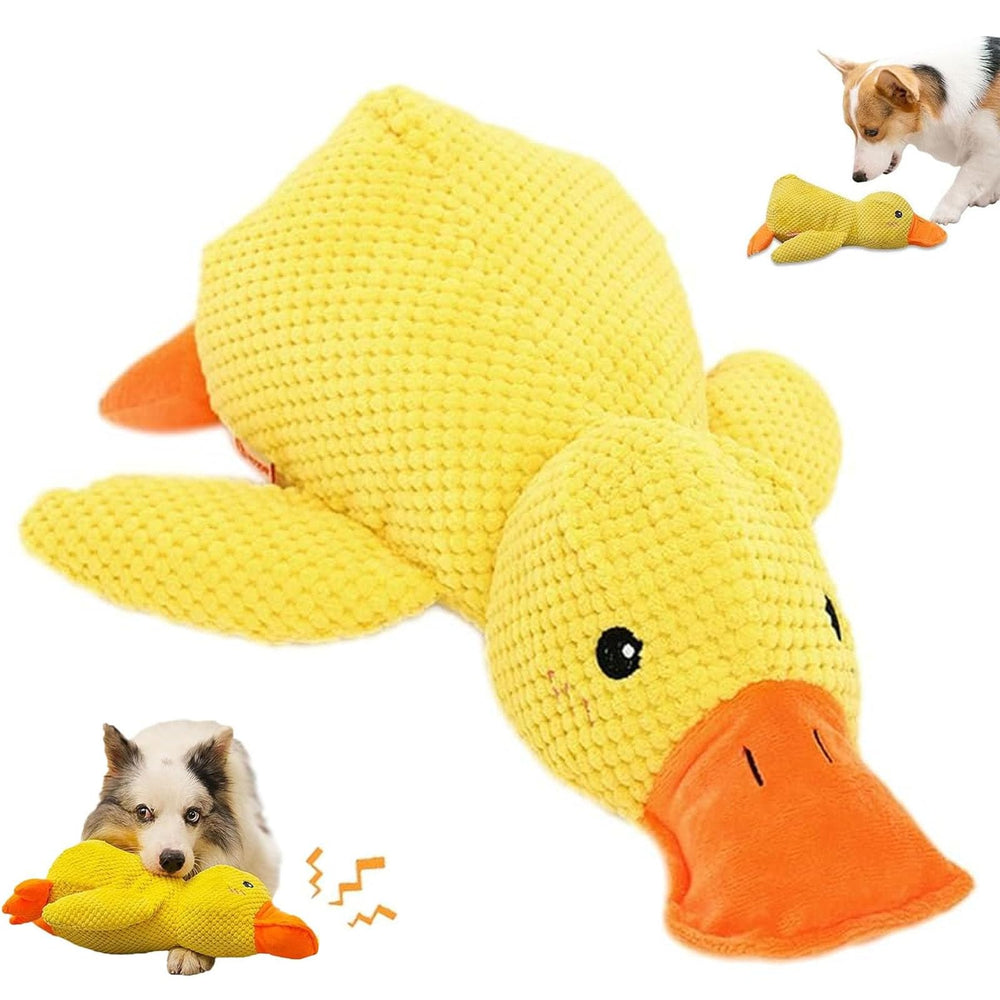 Generic Mellow Canard Jaune relaxant premier plan pour calme et distraction du chien