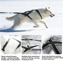 Harnais GentleBliss vert forêt vue dos, répartition de la pression pendant l'entraînement.