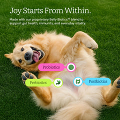 Get Joy probiotiques et prébiotiques, soutien digestif potentiel pour chien.