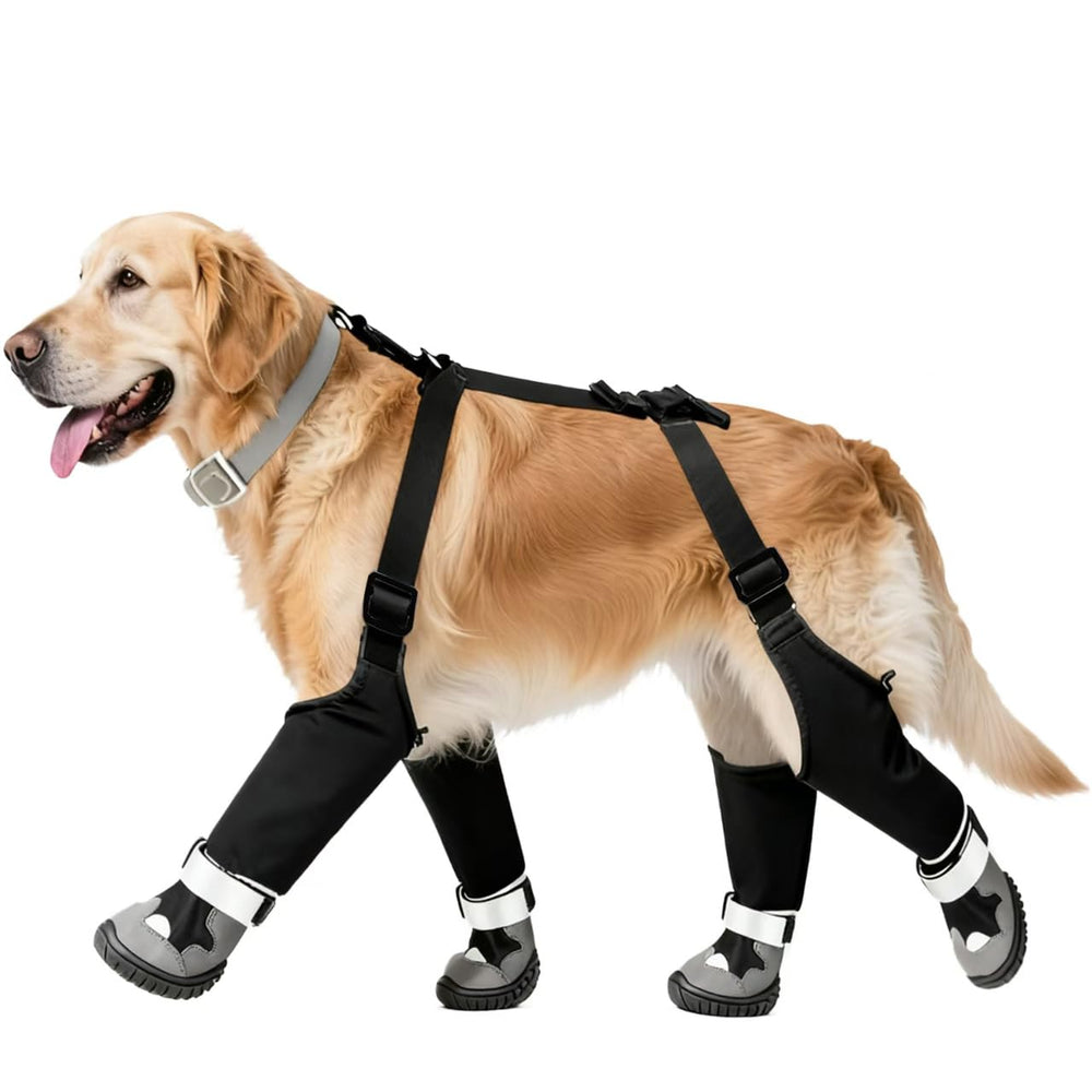 Giiyoe bottes chien avec suspenseurs imperméables pour promenades sûres.