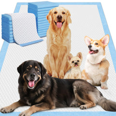 Tampon d'entraînement Gimars XXL 37x54, absorption élevée pour grands chiens.