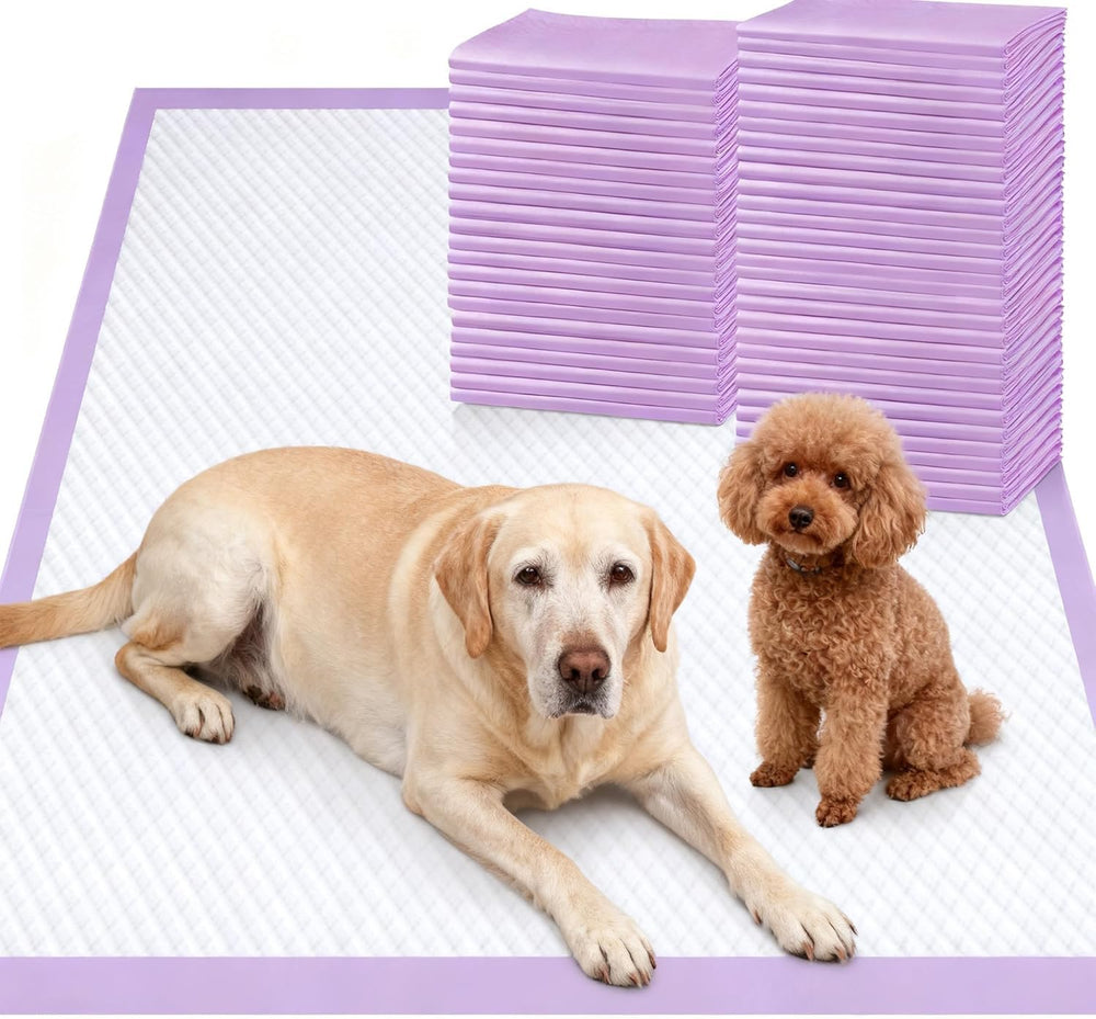 Gimars XL, tapis absorbant 1200 ml, grande capacité pour les besoins nocturnes.
