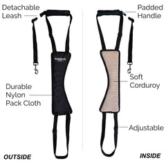GingerLead laisse intégrée, pratique lors des sorties et exercices.