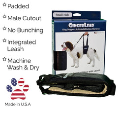 GingerLead reglable en hauteur, ajuste facilement pour une bonne posture.