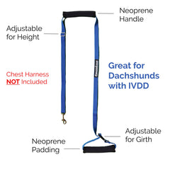 GingerLead Sling: utilisation quotidienne sûre et pratique pour les chiens.
