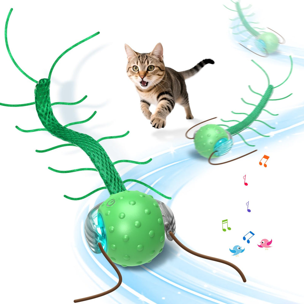 Giociv balle chat centipède en mouvement stimule l instinct.