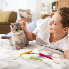 Jouet pour chat durable résistant à l'usage quotidien.