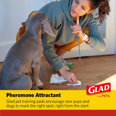 Glad pour chiens: tapis d'entraînement multi-usages liner de cage et sol