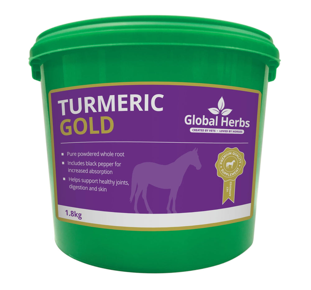 Global Herbs Turmeric Gold, poudre de curcuma doré avec poivre noir pour absorption améliorée.