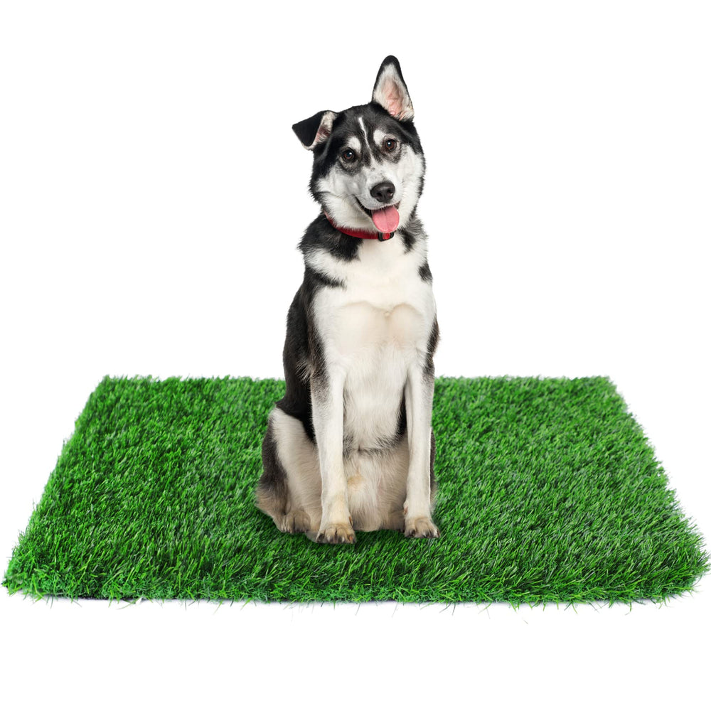 Globreen tapis gazon artificiel 34x23, vue générale, idéal pour l'entraînement des chiens.