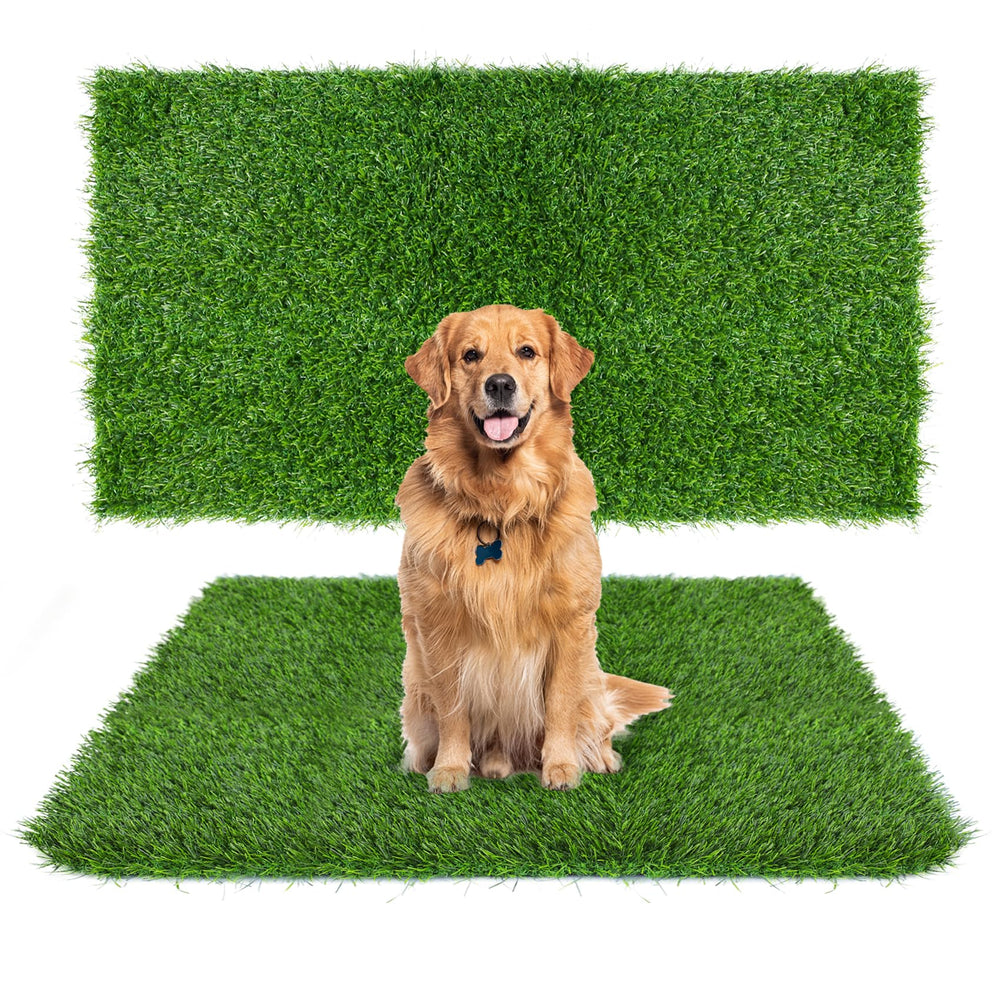 Globreen tapis d'herbe artificielle grande taille prêt pour l'entraînement à la propreté.