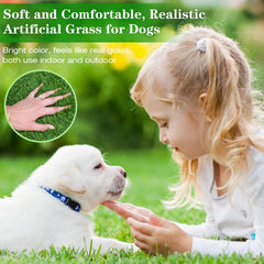 Globreen texture douce d'herbe artificielle, parfaite pour le confort des chiens.