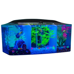 GloFish Betta Trilogie: filtration trois etages pour eau propre et saine.