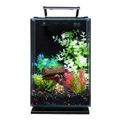 GloFish gravier noir et accents fluorescents reflètent sous lumière bleue.