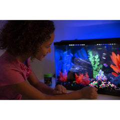 GloFish gravier noir fournit un socle décoratif pour ornements GloFish.