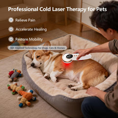 GLOHFAN laser rouge 650nm pour animaux soutenant la récupération cutanée après effort.