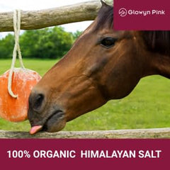 Glowyn Pink bloc sel Himalayen rose sans additifs ni conservateurs.