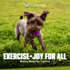 Jouet Gnawsome balle pics sifflet petit jaune parfait pour le fetch au parc.