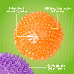 Gnawsome Balle Siffleuse Épineuse 4,5 pouces violet – couleur vive attire l’attention du chien