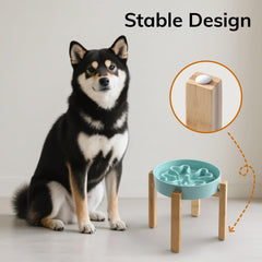 Bol lavable au lave-vaisselle et micro-ondes par Gocess.