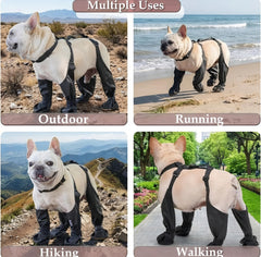 Gockeoz semelles antidérapantes pour bottes-chien, traction efficace
